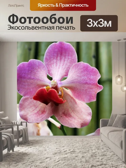 Фотообои фиолетовых орхидей 2
