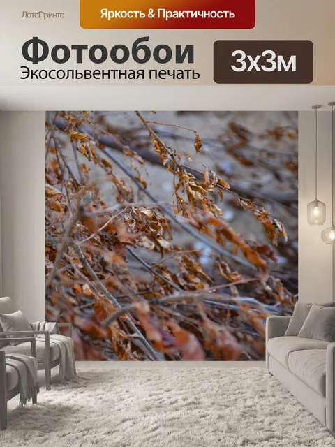 Фотообои Осень