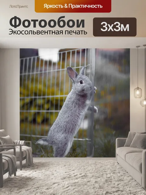 Фотообои Кролик