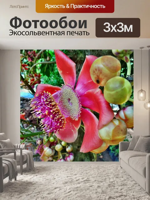 Фотообои Пушечное ядро