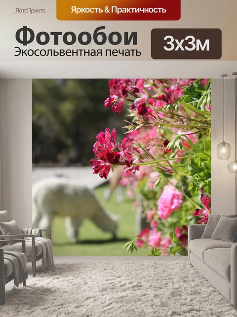 Фотообои Цветы