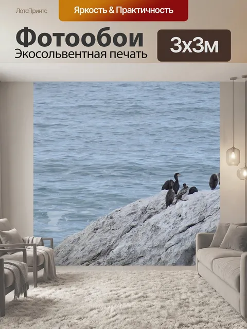 Фотообои Птицы