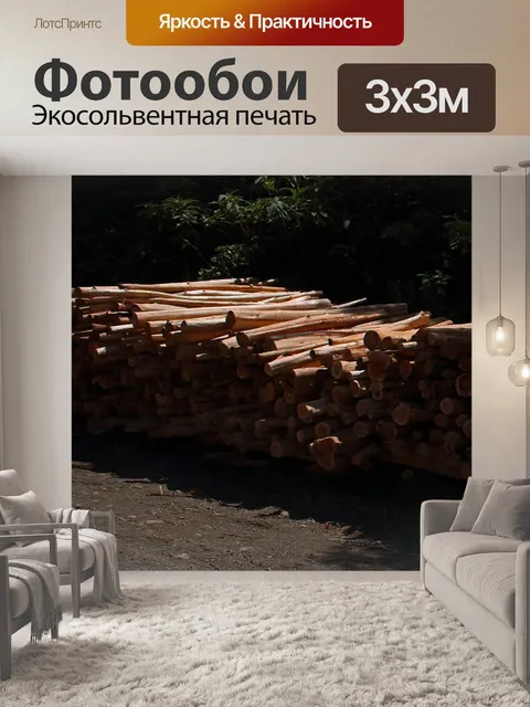 Фотообои солнечный свет на груду обрезных бревен