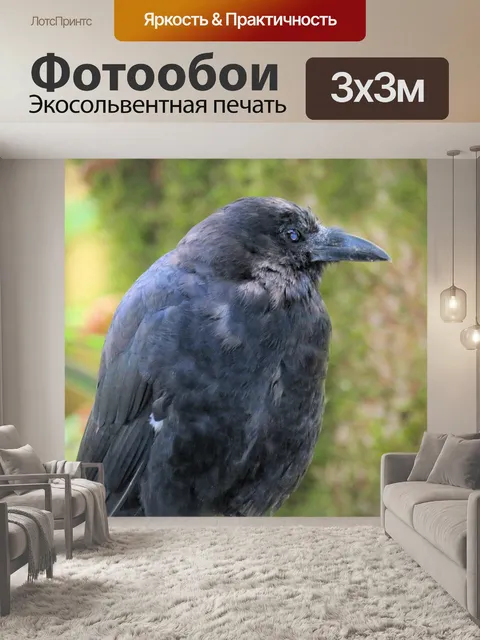 Фотообои ворона 4