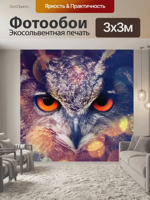 Фотообои Сова, глаза, взгляд, птица