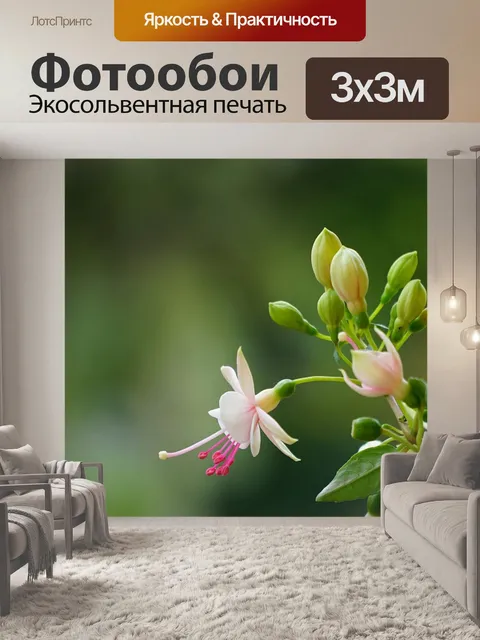 Фотообои Фуксия