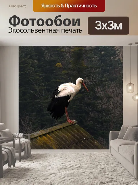 Фотообои Аист