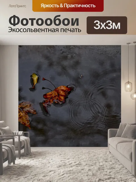 Фотообои Темная лужа воды