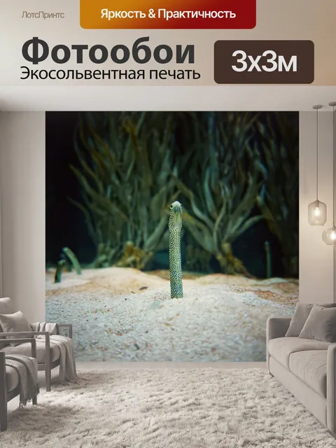 Фотообои Рыбы