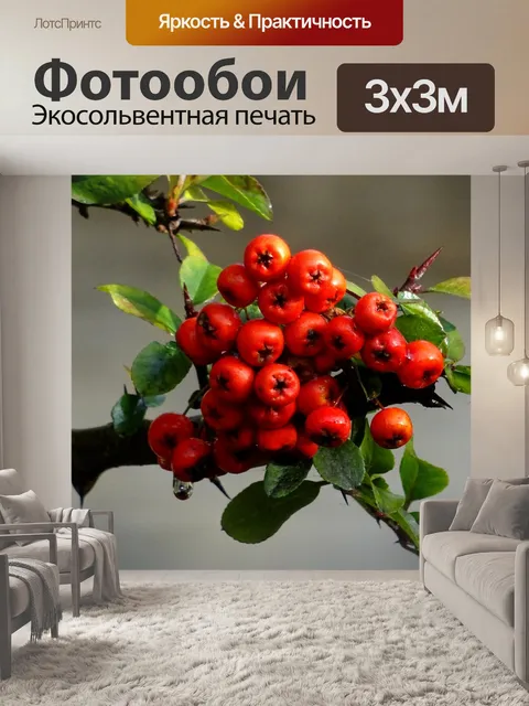 Фотообои Красные ягоды на ветке дерева