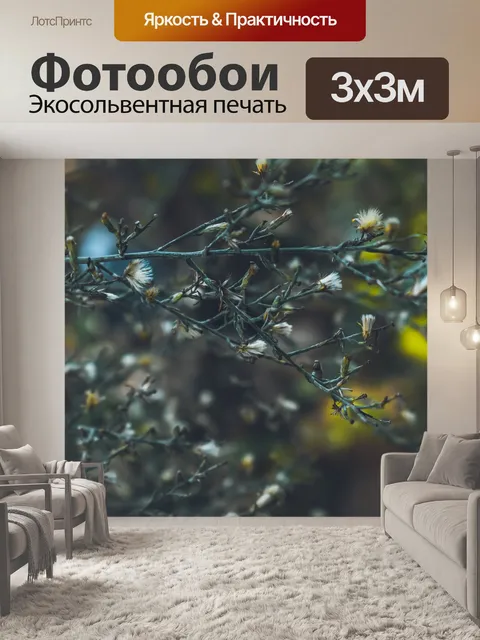 Фотообои Цветы