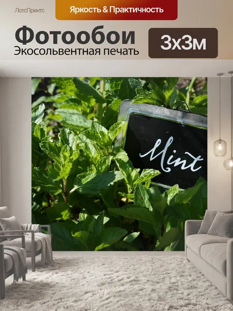 Фотообои Лист