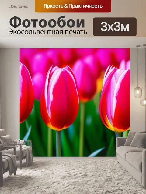 Фотообои тюльпаны в стиле минимализм