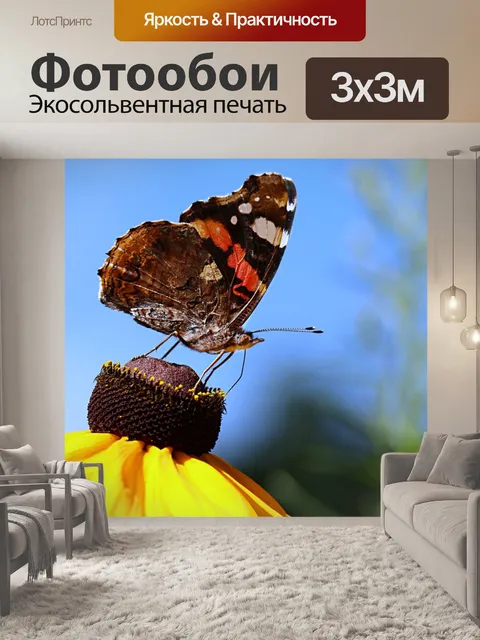 Фотообои Бабочка