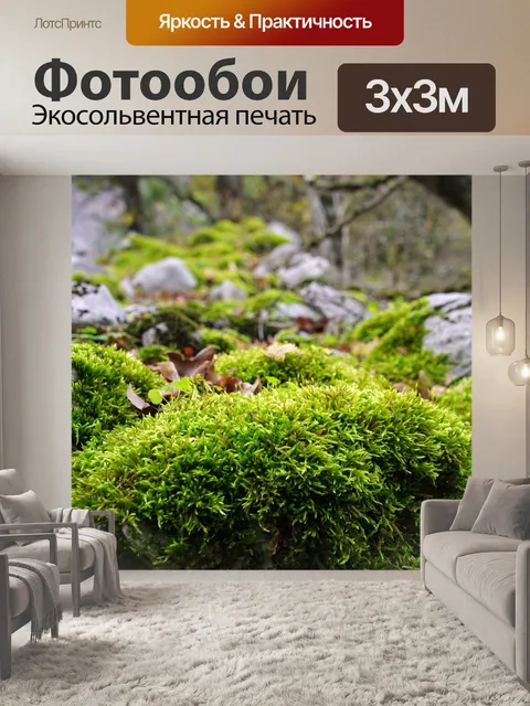 Фотообои Лес