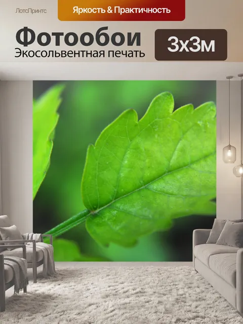 Фотообои Листья 7