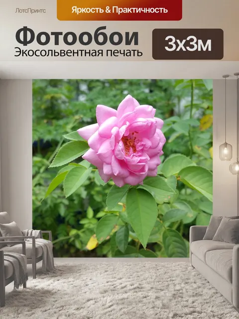 Фотообои Цветок