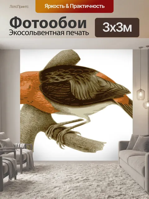 Фотообои Птица