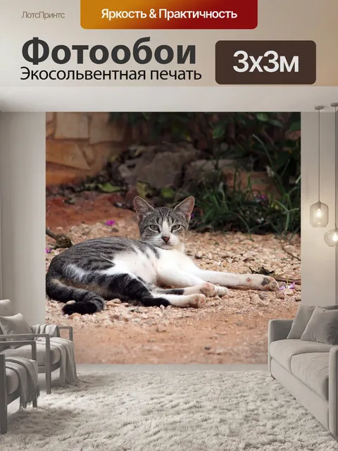 Фотообои Кошка