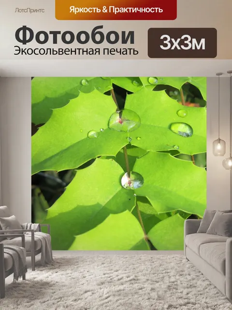 Фотообои Растения