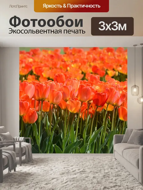 Фотообои Тюльпаны