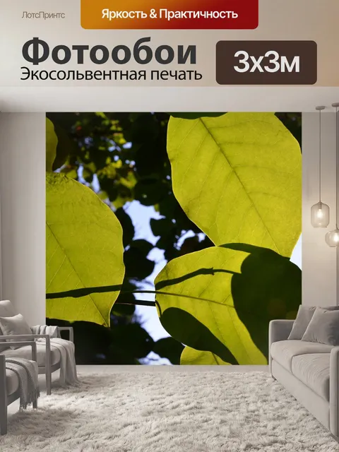 Фотообои Листья