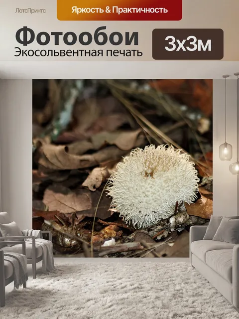 Фотообои Белый гриб Puffball в листьях
