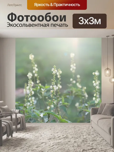 Фотообои Трава
