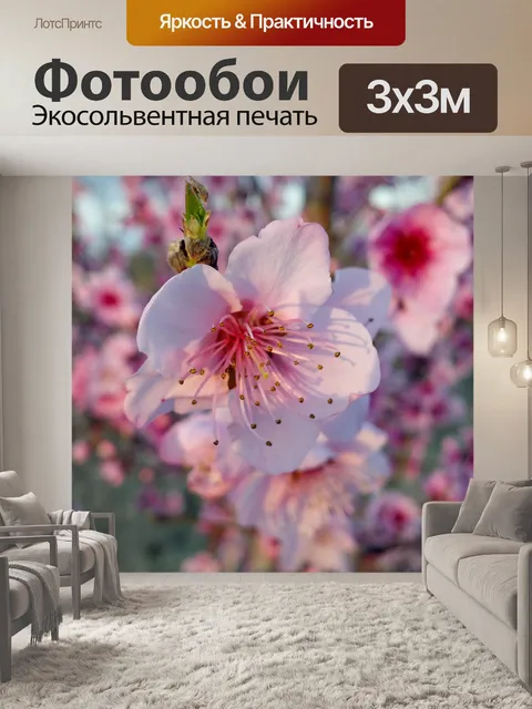 Фотообои Цветок персика