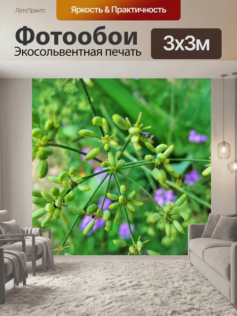 Фотообои изысканные фенхеля цветы