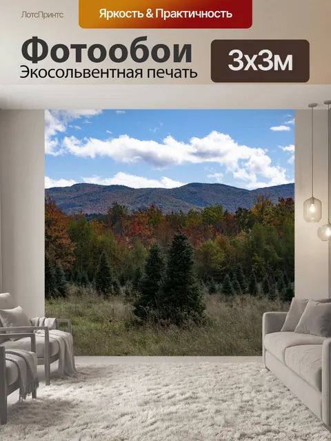 Фотообои Сосны клен фон