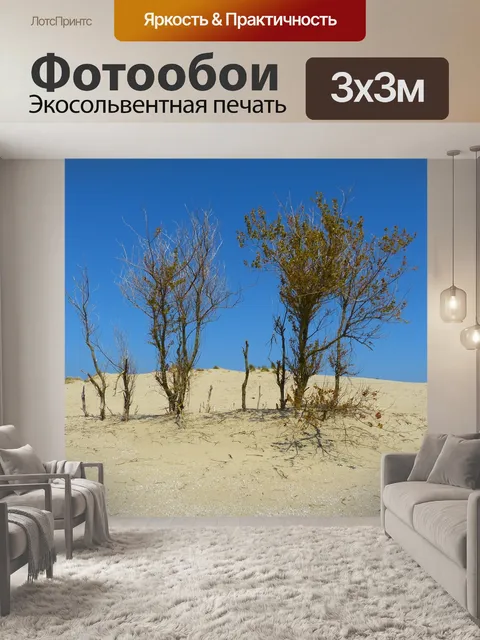 Фотообои Дюна