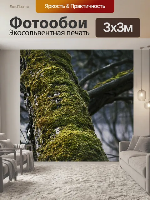 Фотообои Дерево