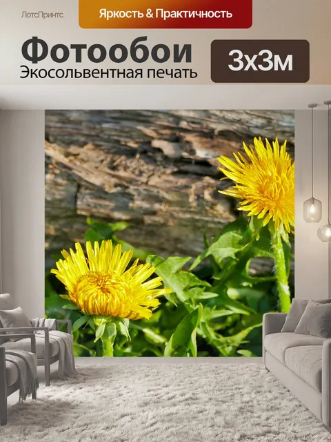 Фотообои Пейзаж