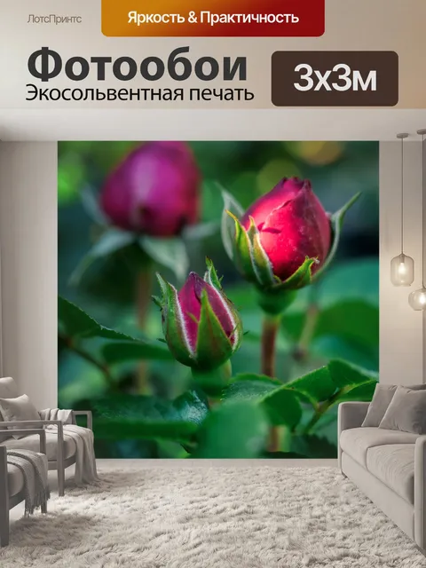 Фотообои Розы