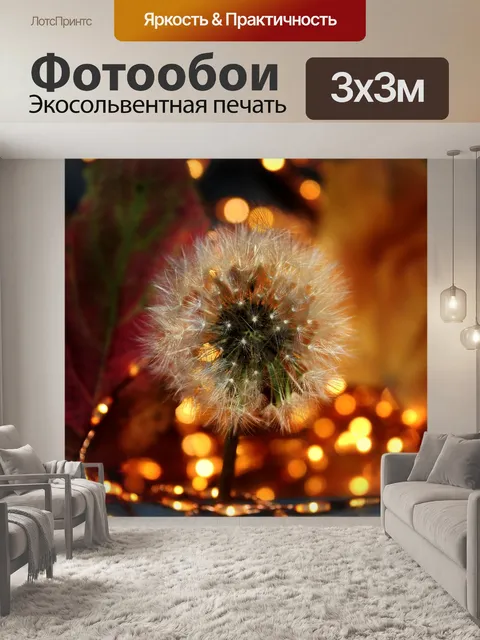 Фотообои Одуванчик