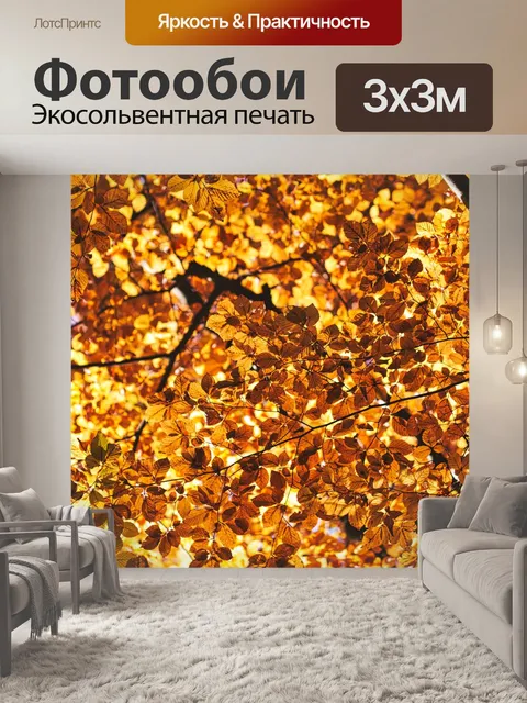 Фотообои Навес