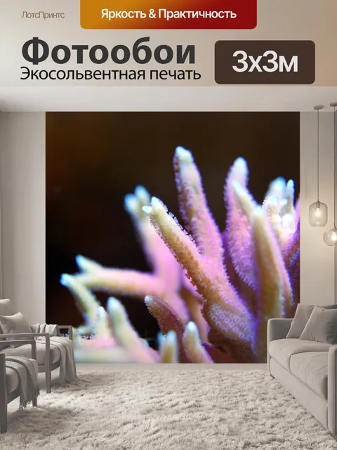 Фотообои Коралл