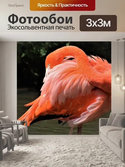 Фотообои Птица