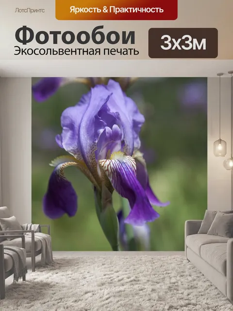 Фотообои Цветы