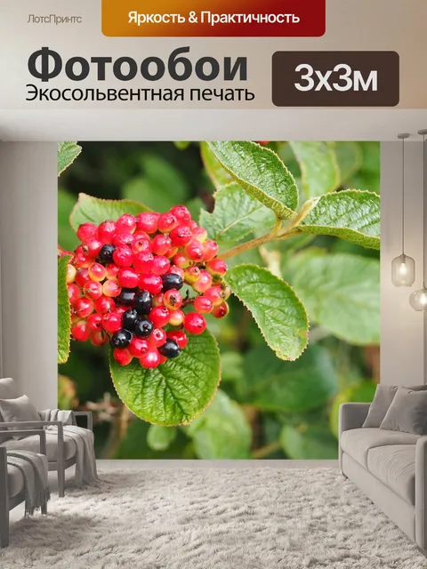 Фотообои Ягоды