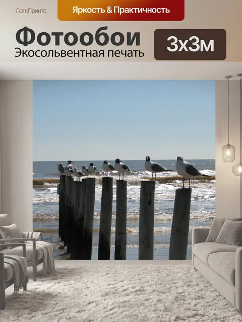 Фотообои Чаек на Опубликовать