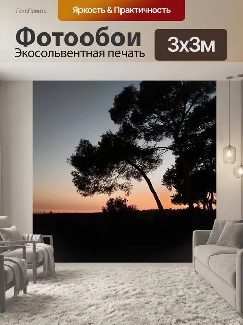 Фотообои Силуэт деревьев на закате