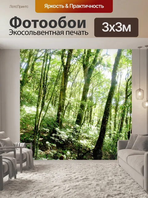 Фотообои Природа тропический лес дои Интанон наци