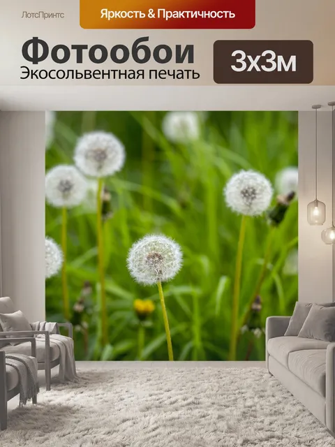 Фотообои Одуванчик