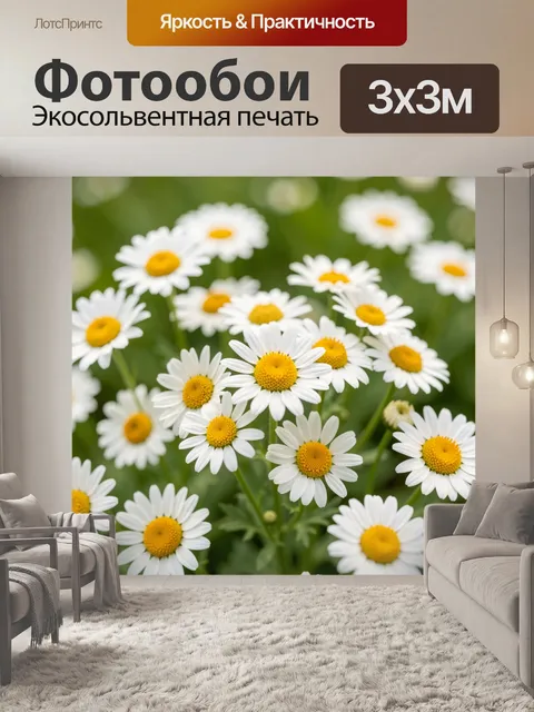Фотообои Ромашки на зелёном фоне