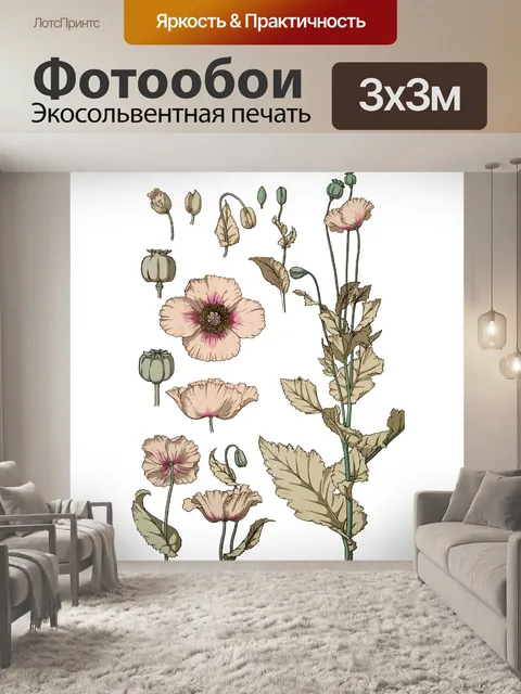 Фотообои Цветы мака художественная иллюстрация