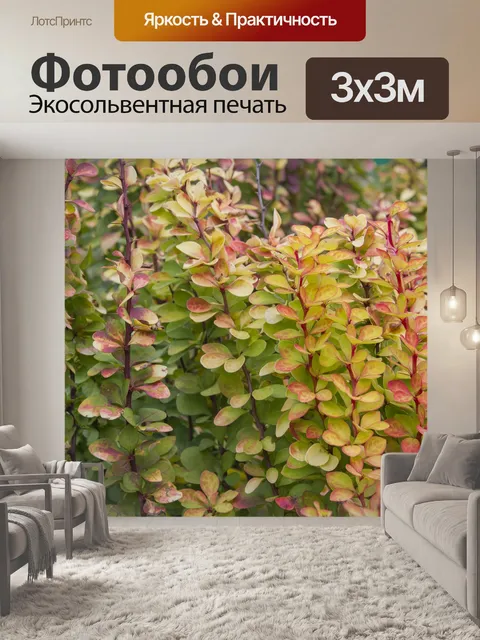 Фотообои Аутум в ботаническом саду