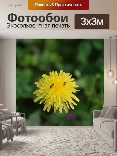 Фотообои Насекомое