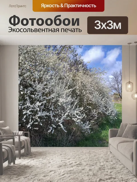 Фотообои Боярышник цветы кустарник природа